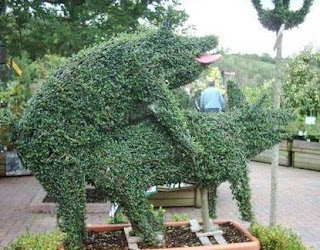 funny but rude photo of bush mad ein shape of two pigs having sex