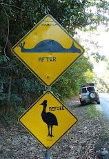 Cassowarrie Crossings are not safe