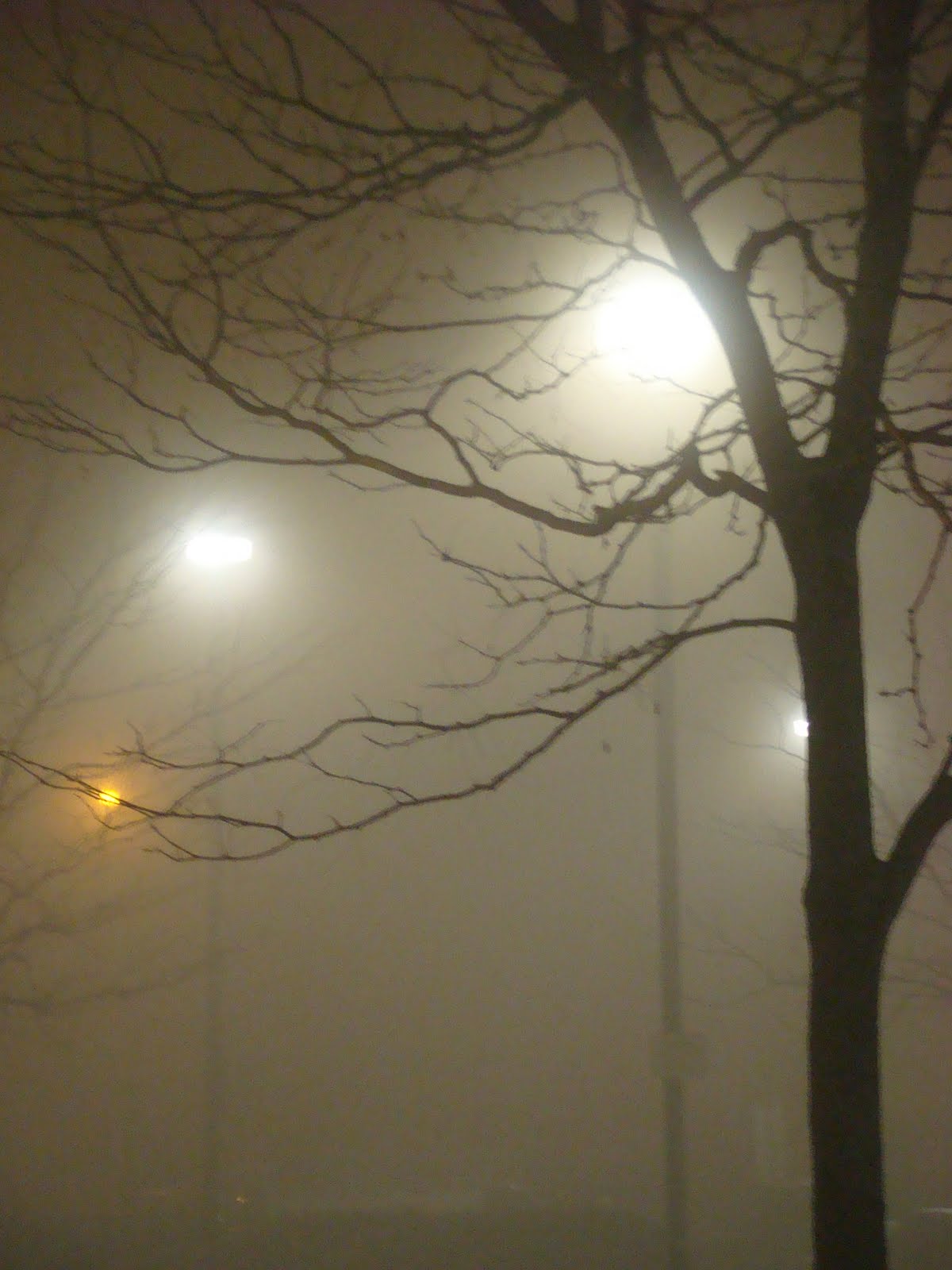 the mocentric universe foggy, foggy night