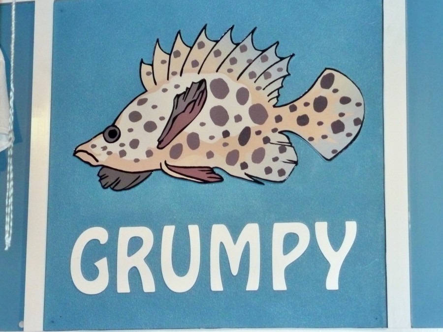 [Grouper+blog.jpg]