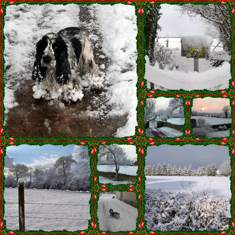 [Christmas+Mosaic.jpg]