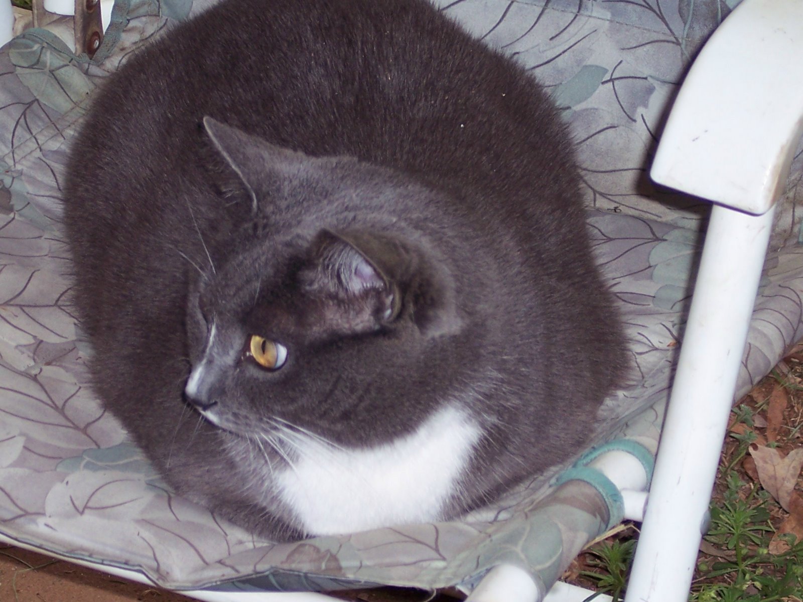 [Dad+Phoebe+4-19-09.jpg]