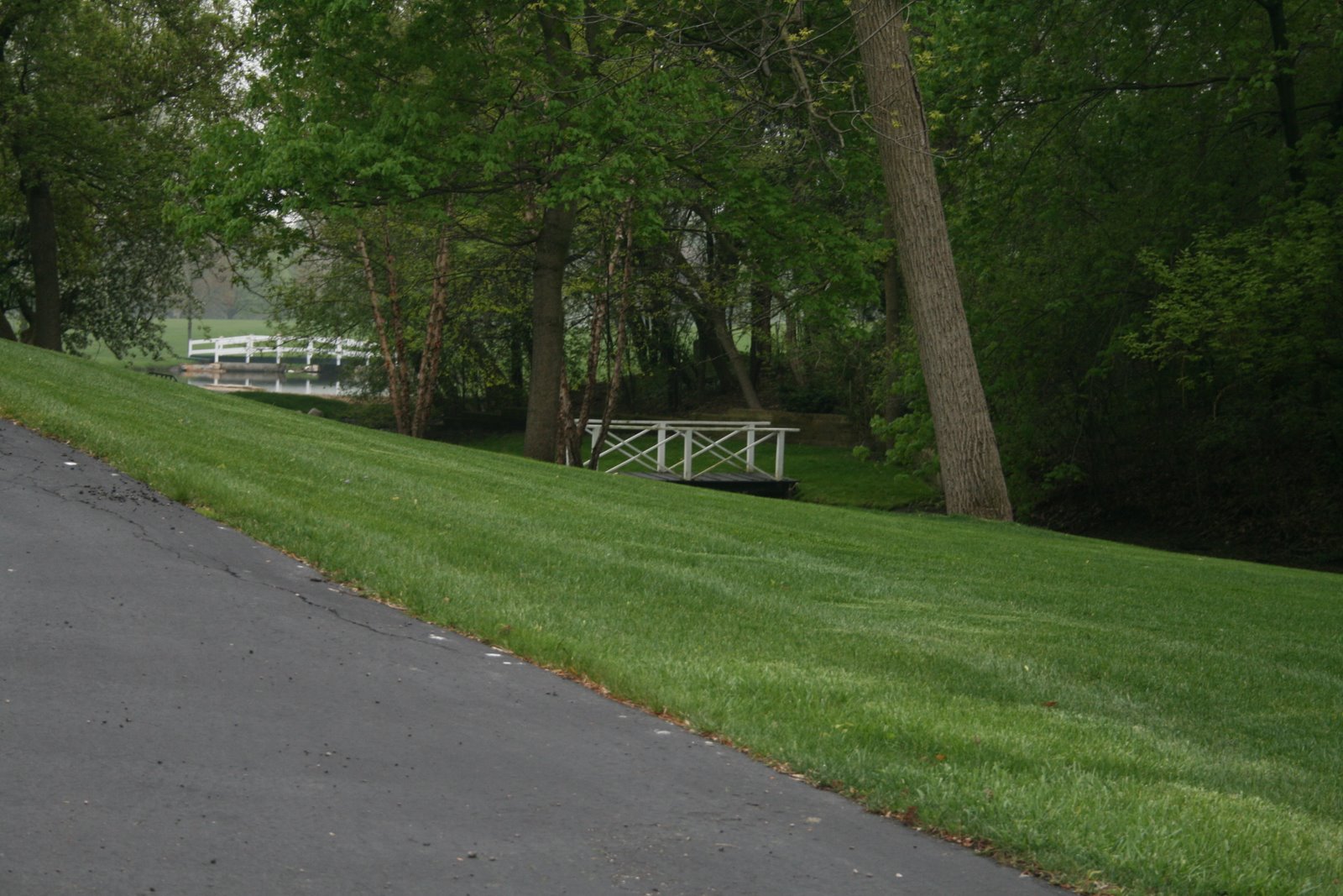 Inverness, Illinois (USA) Daily Photo: 2 Foot Bridges