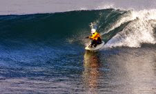 Wave Skiers