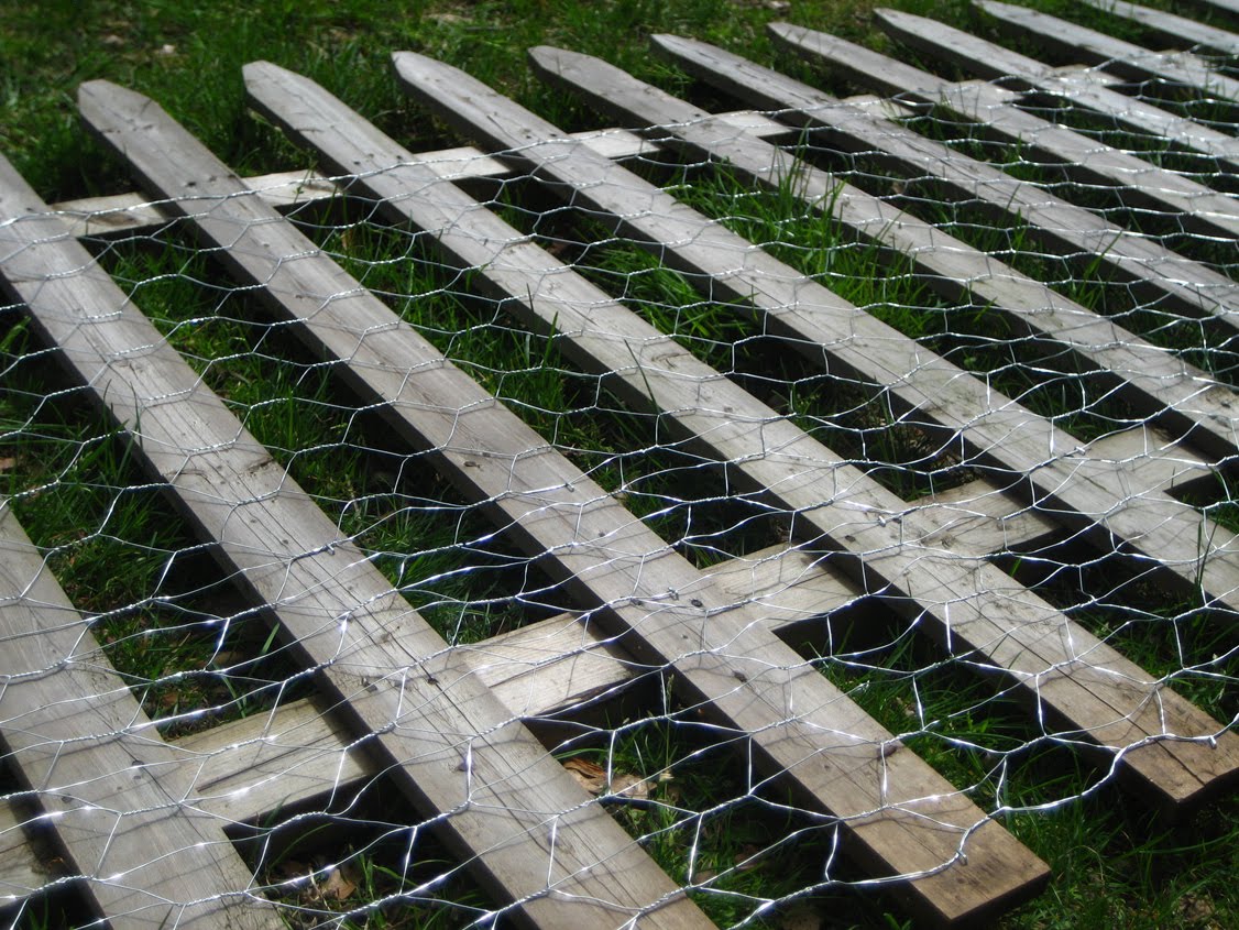 A Little Slice of Domestic Bliss: A (Hopefully) Rabbit-Proof Garden