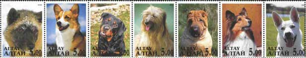 2000年アルタイ共和国 犬種不明 コーギー ロットワイラー ビアデッド・コリー シャー・ペイ シェットランド・シープドッグ ホワイト･スイス･シェパード・ドッグのラベル