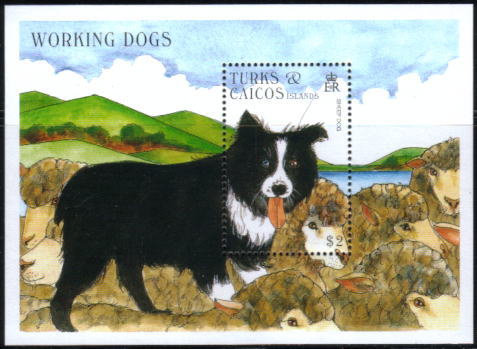 1996年タークス・カイコス諸島　ボーダー・コリーの切手シート