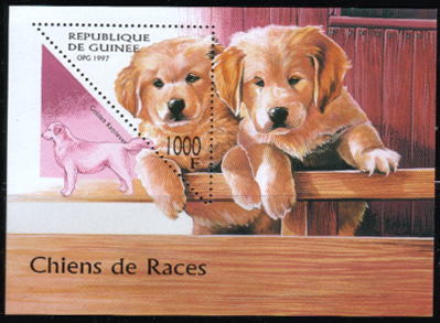 1997年ギニア共和国　ゴールデン・レトリーバーの切手シート