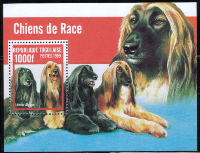 1999年トーゴ共和国　アフガン・ハウンドの切手シート
