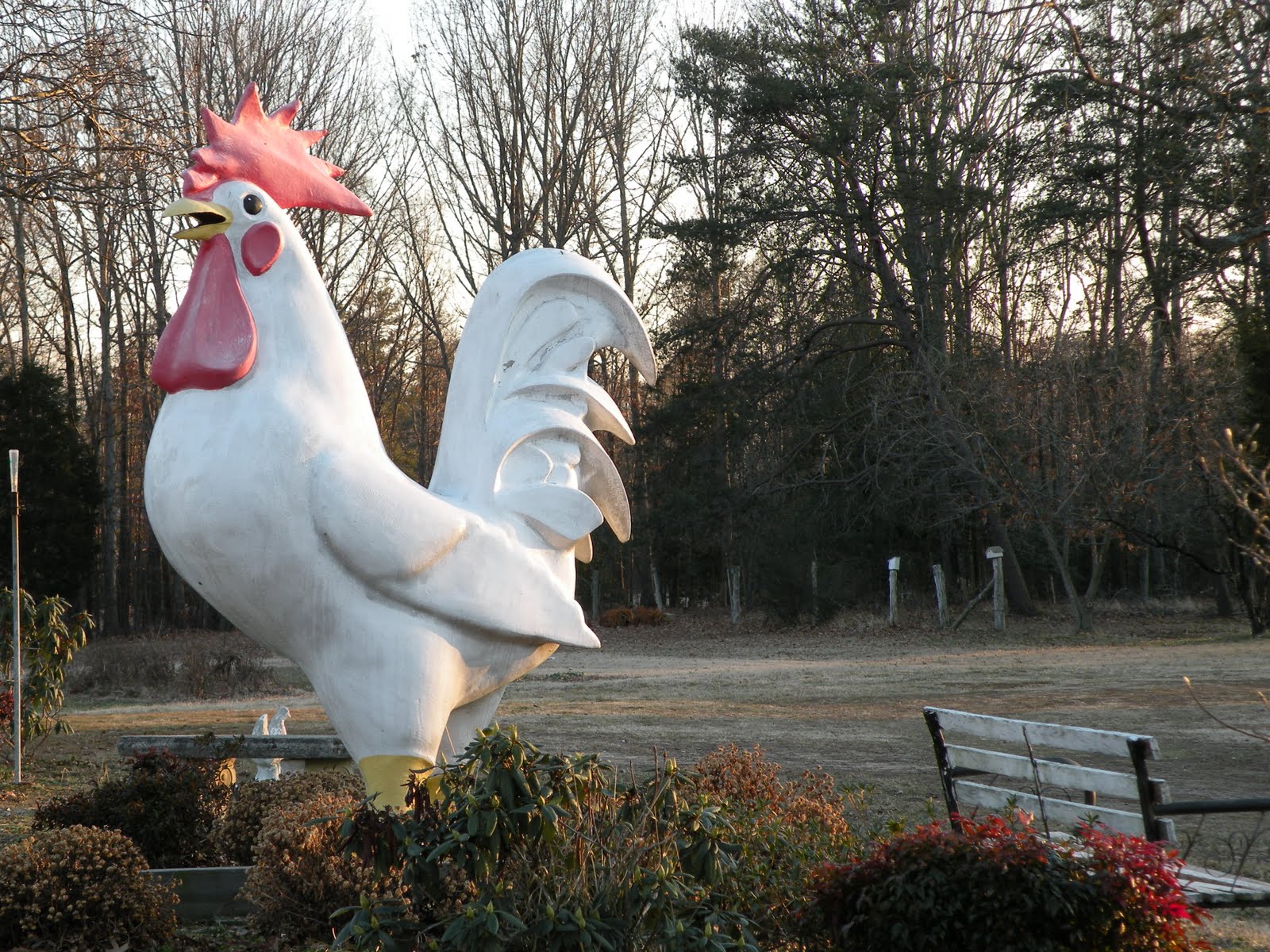 Let Your Light Shine Chicken Coop Church