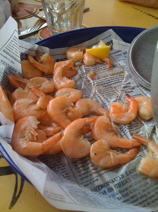 Say Yes to the Honolulu Rail System Divining Future Rail Use in a