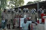 Remise d'équipements aux apiculteurs à Torem