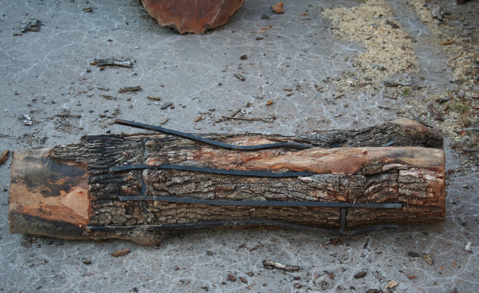 Lumber Logs' blog Free wood!