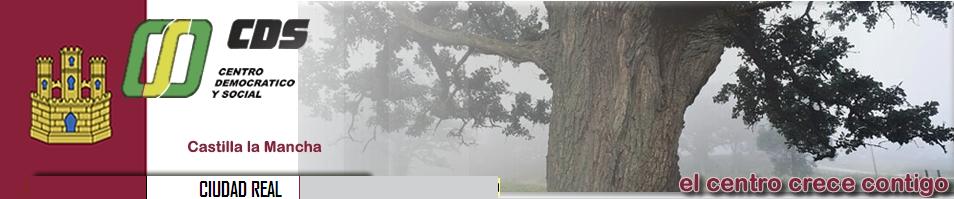 Centro Democrático y Social (CDS) Ciudad Real