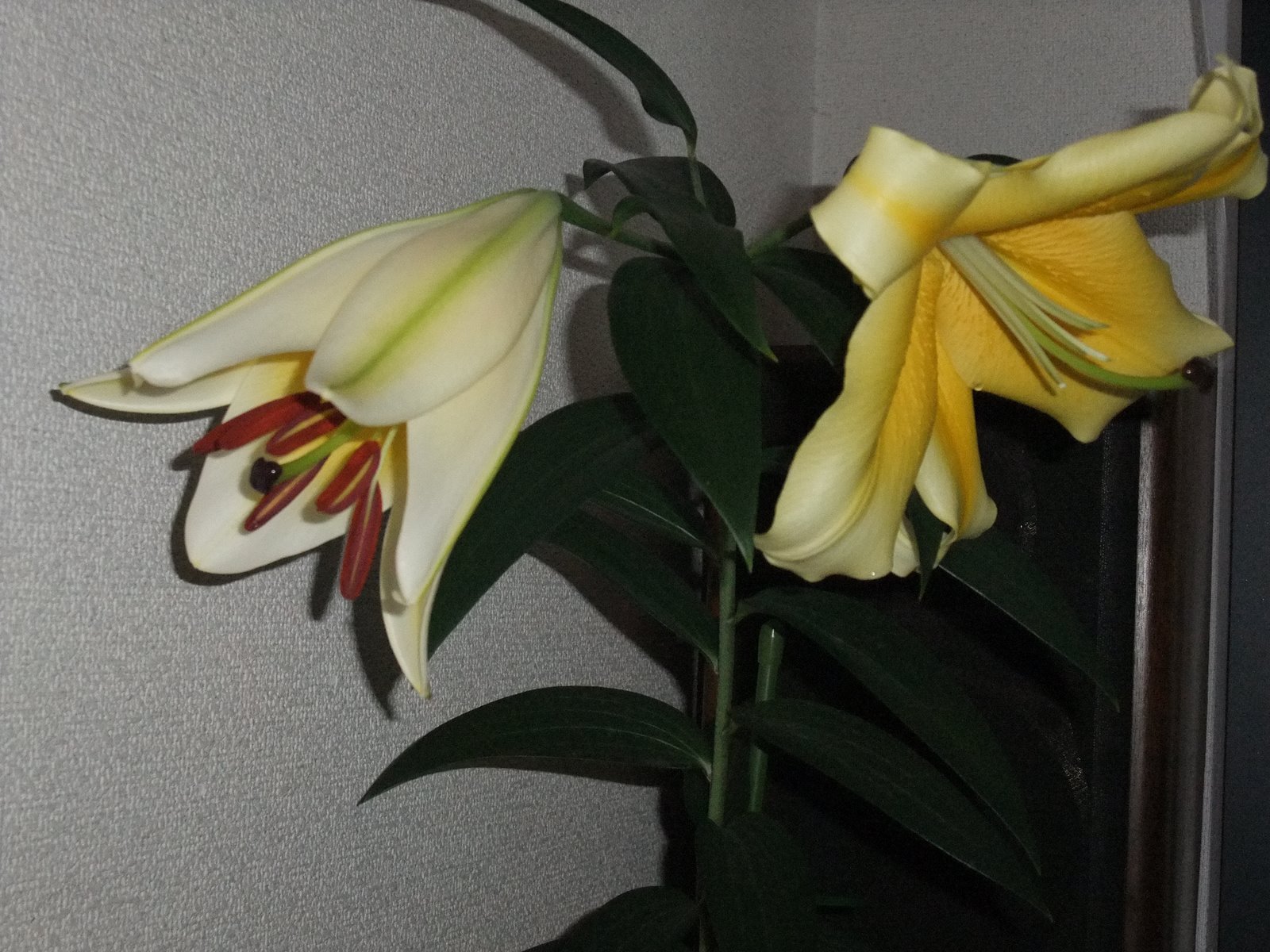 [Dc2009_0628_054552.JPG]