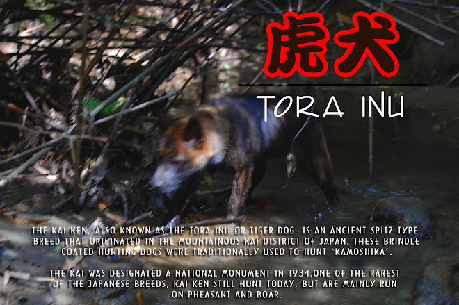 Kai Ken: The Tora Inu