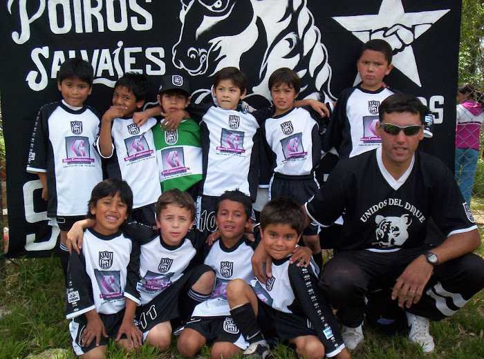 categoria 99