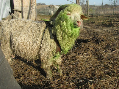 green+goat+007.JPG