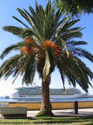 INEPENDENCE OF THE SEAS - FUNCHAL