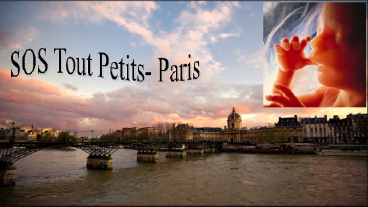 SOS Tout petits - Paris