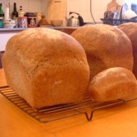 [7D8E88E2F969E32F8024EDB9999A8.jpg]