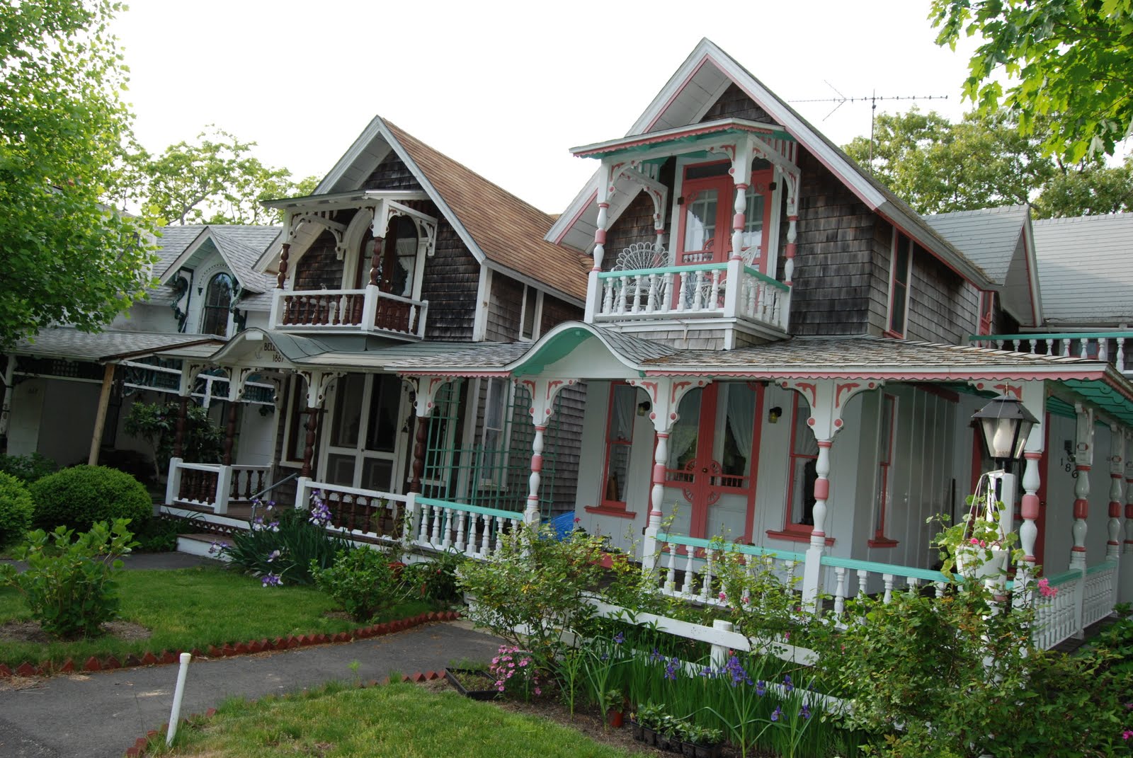 Here Kitty Kitty More Martha's Vineyard