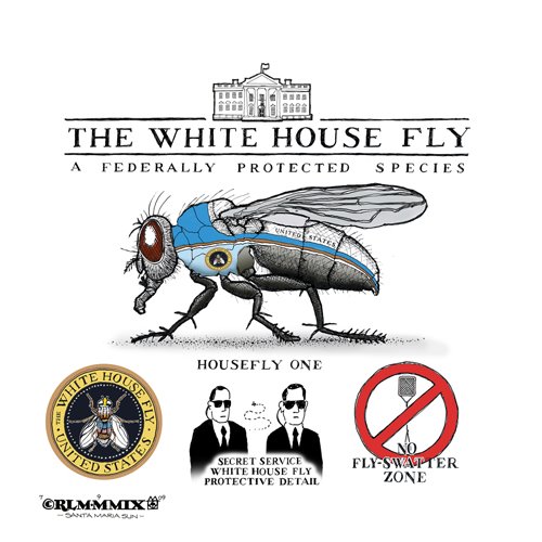 THE WHITE HOUSE FLY