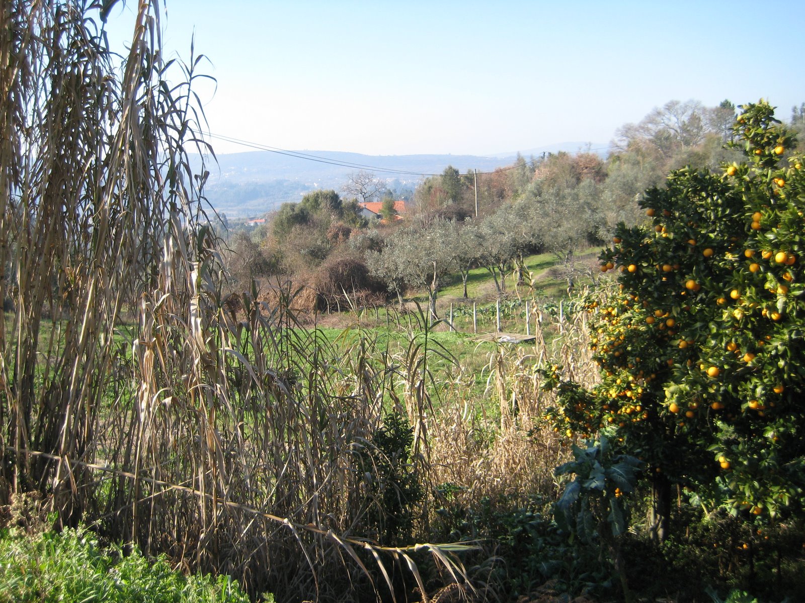 [zz+IMG_0002+(58).JPG]