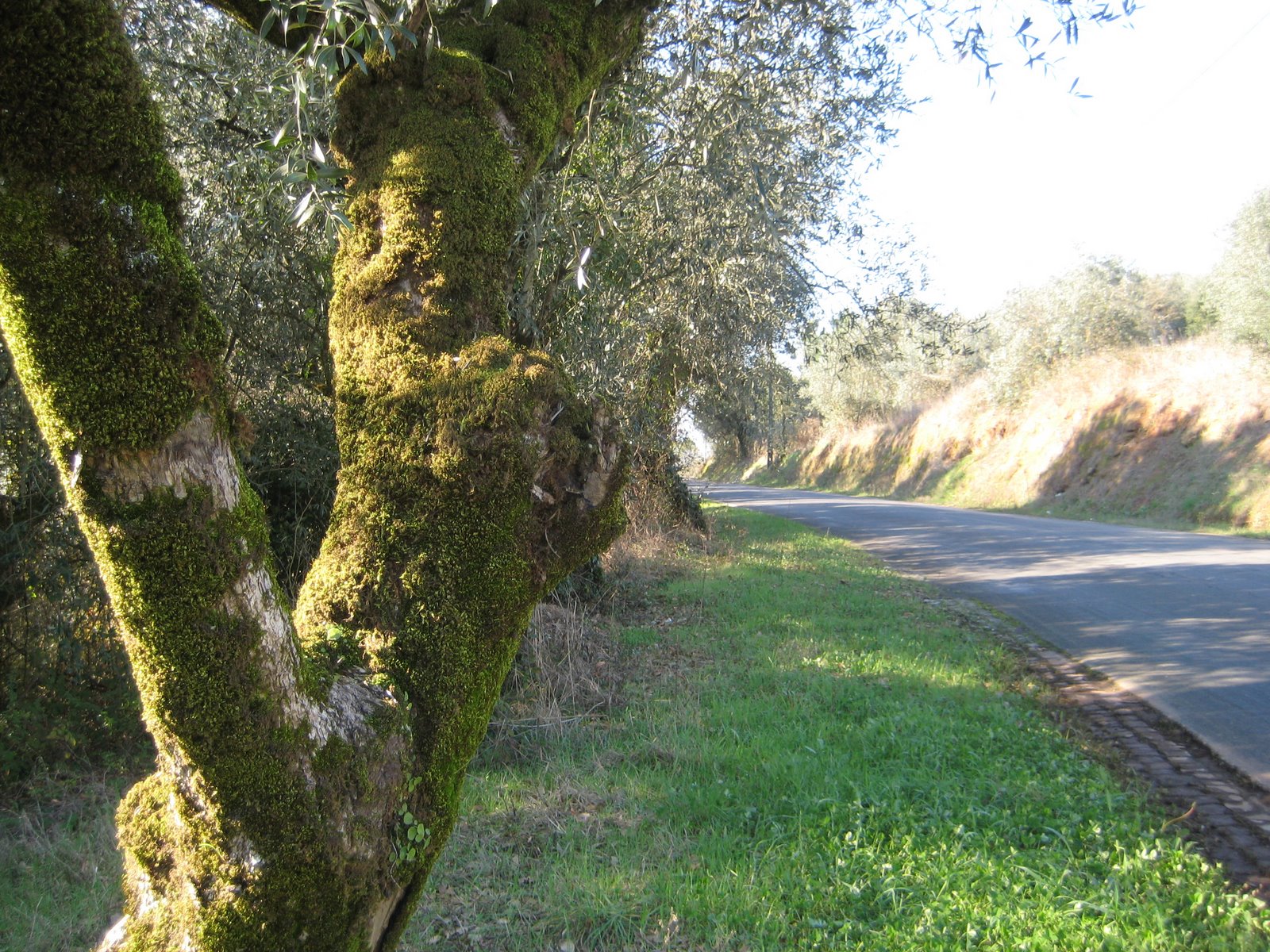 [zz+IMG_0002+(62).JPG]