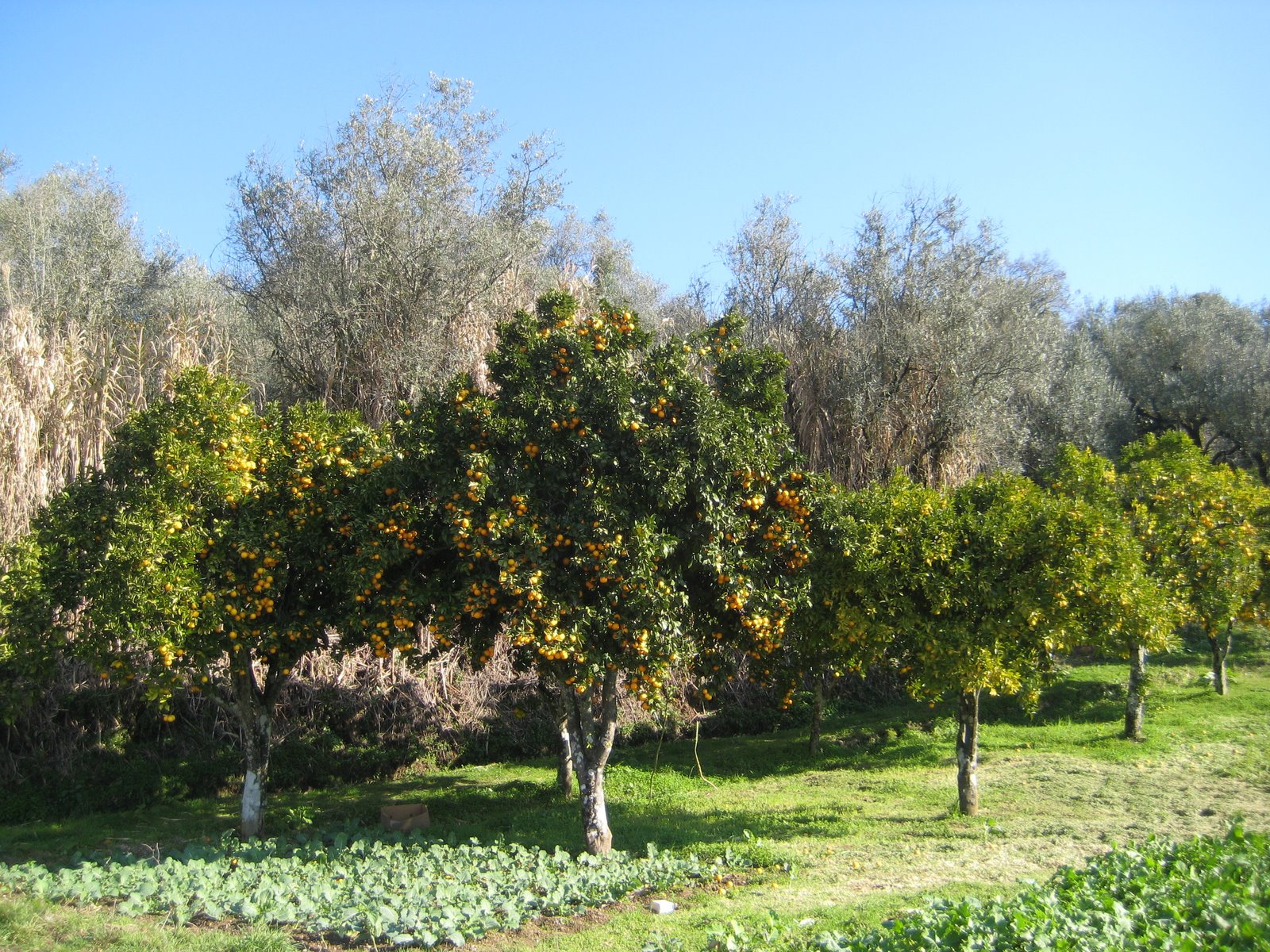 [zz+IMG_0002+(59).JPG]