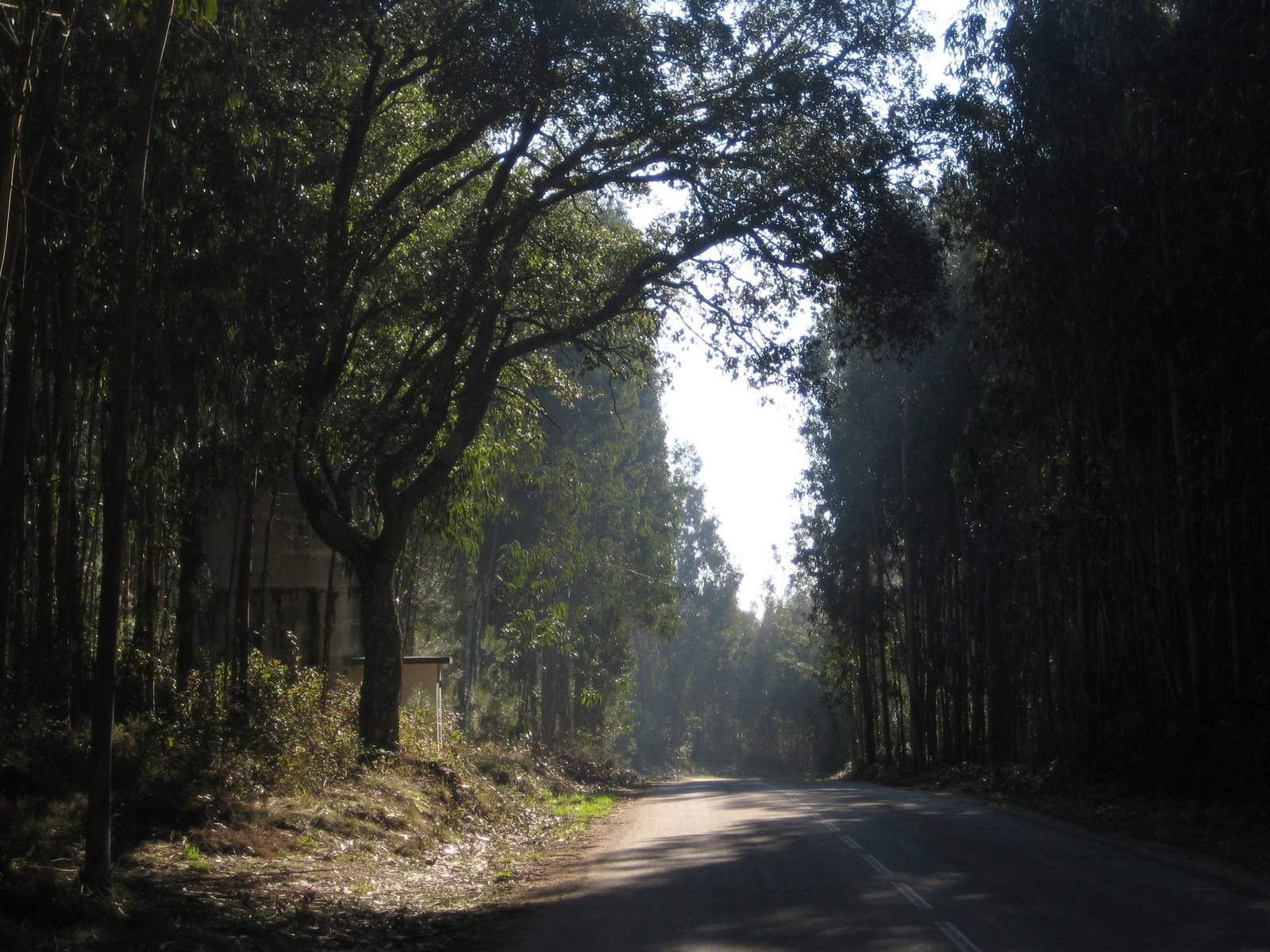 [zz+IMG_0002+(41).JPG]