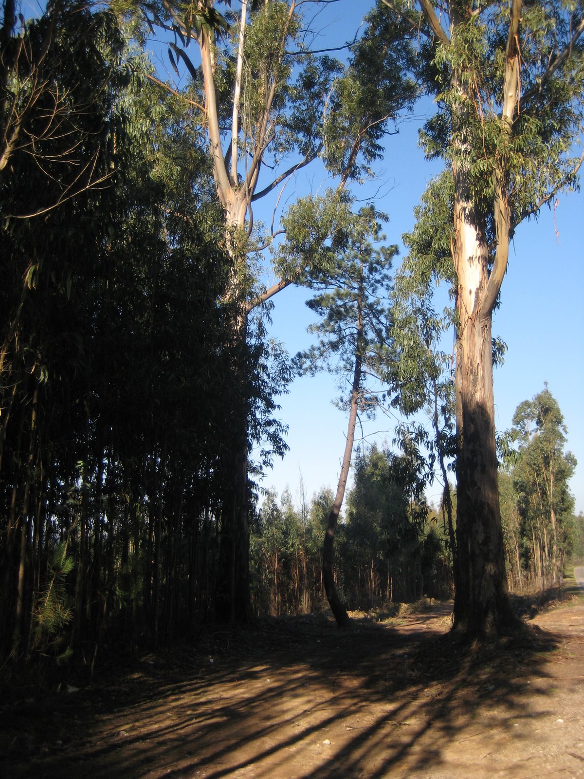 [zz+IMG_0002+(40).JPG]