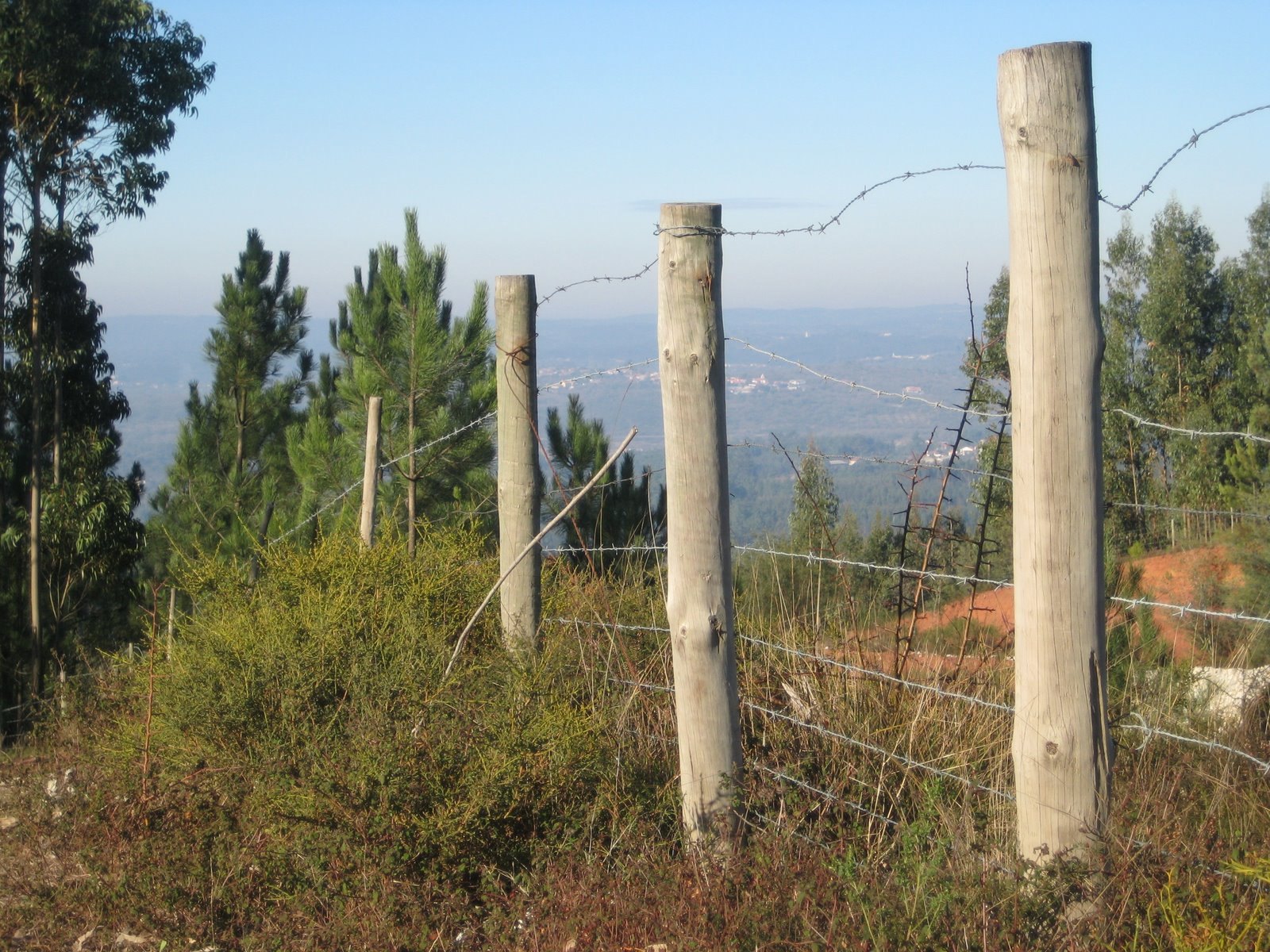 [zz+IMG_0002+(26).JPG]