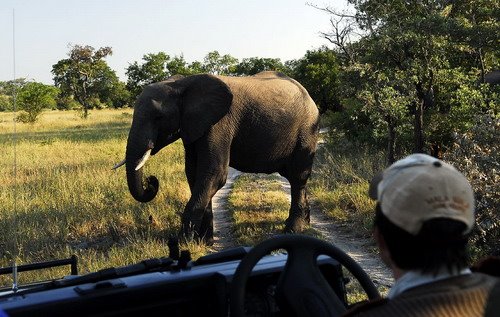 [África-+Encontr.jpg]