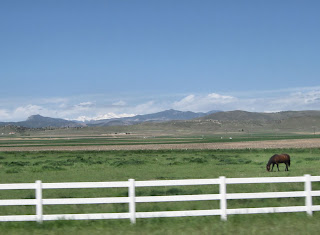 Pastoral Scene