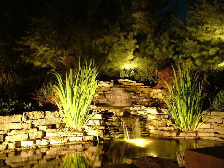 Mike's ponds and lighting