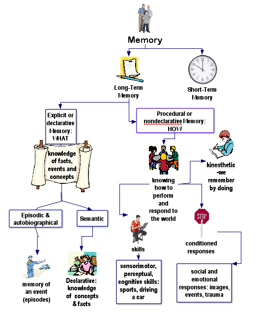 Memory Disorders Examples – Mental Illness: List of Common Mental ...