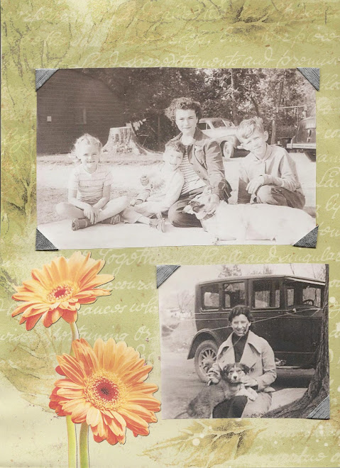 1950 (Camp)