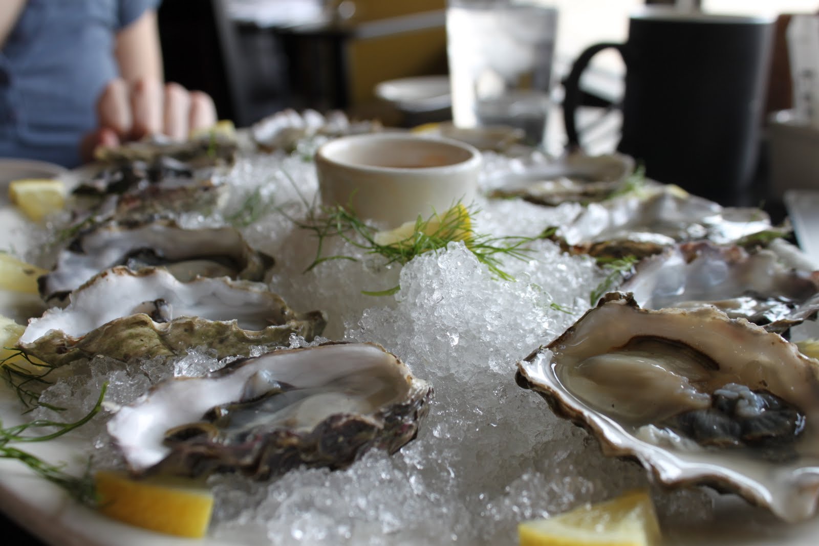 Meals I Have Eaten Seattle Part I Salt Lake City, OysterHeavy Lovely