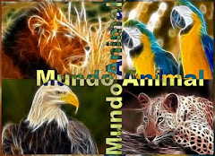 Primer Aniversario de Mundo Animal