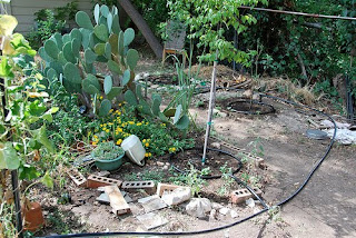 Grow Garden With Drip Irrigation
