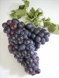 [Grape+Jam+Jelly+1.jpg]