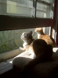 Chloe and Kal
