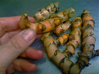 Fresh turmeric root