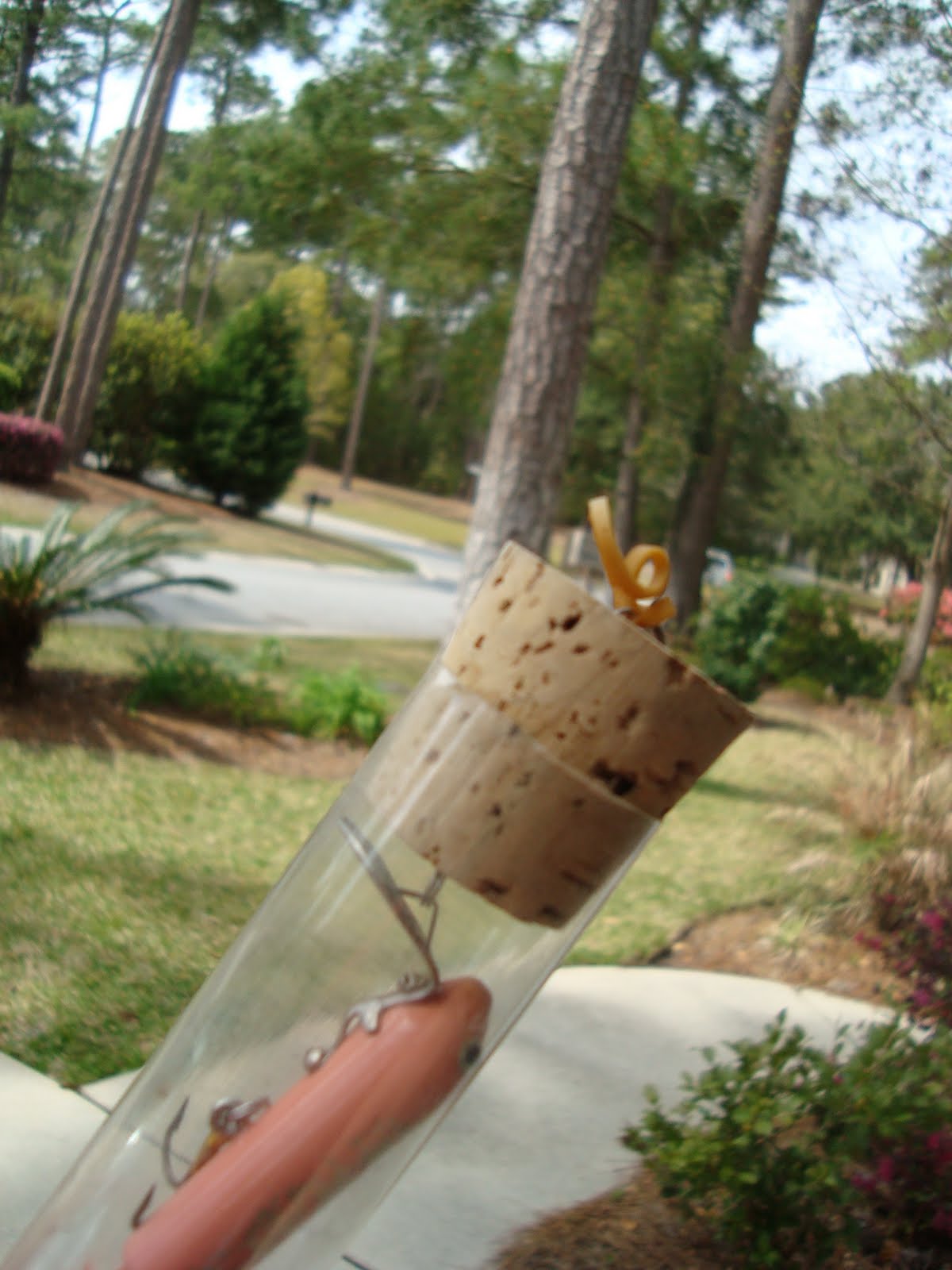 Jelinek Cork Group Get Corking Fishing with cork?