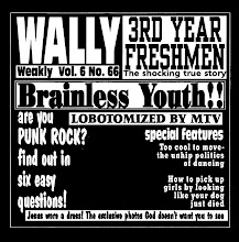 Third Year Freshmen/Wally Split 7"