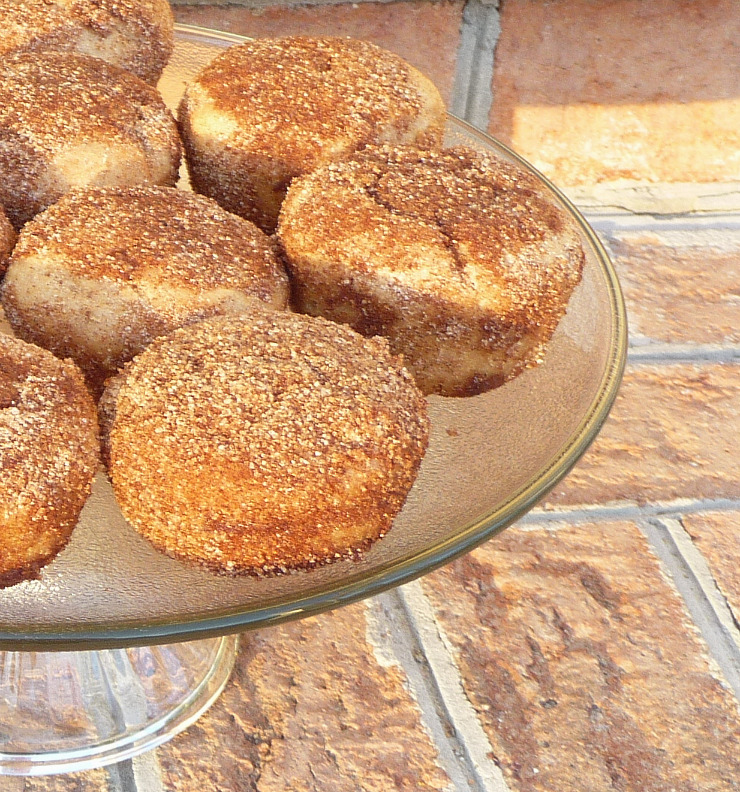 Family, Food, and Fun Muffins that Taste Like Doughnuts