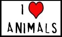 [loving+animals1.jpg]