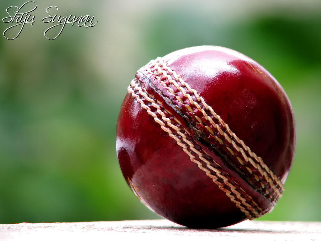 http://2.bp.blogspot.com/_yVdLNzV-R5s/TI66olgnu6I/AAAAAAAABIo/Ws3oAlsI0Wk/s1600/cricket-ball-shiju.jpg