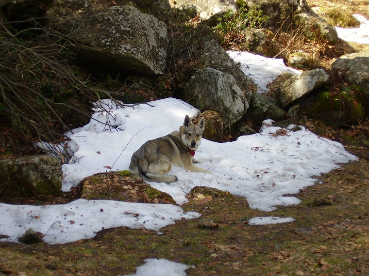 UN PICCOLO ANGOLO DI NEVE